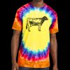 Window Tie Dye Tee Thumbnail