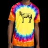 Window Tie Dye Tee Thumbnail