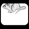 DyeTrans® Rectangle Mouse Pad - 2.5mm Thick Thumbnail