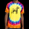 Window Tie Dye Tee Thumbnail