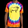 Window Tie Dye Tee Thumbnail