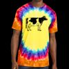 Window Tie Dye Tee Thumbnail
