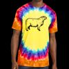 Window Tie Dye Tee Thumbnail