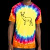 Window Tie Dye Tee Thumbnail